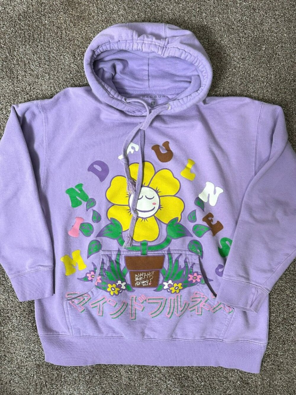 PacSun Mindfulness Graphic Hoodie Large Lavender Flower Japanese Streetwear